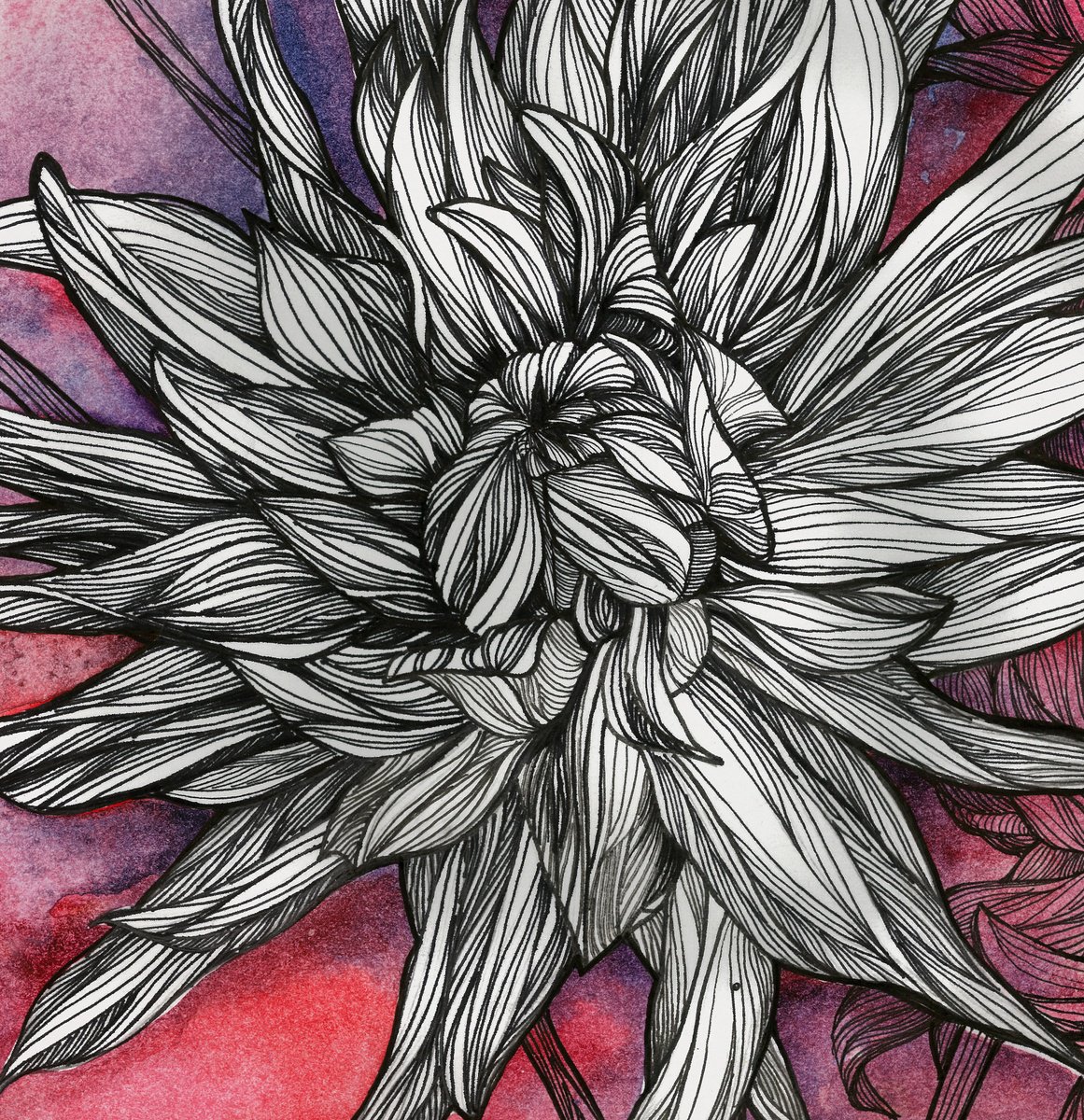 Graphic Botanical Painting By Olena Kosenko, 17 X 12", Pink Dahlia, Original Artwork