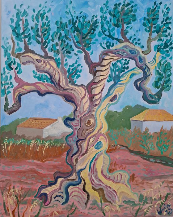 Olive Tree on Camí d’Altea