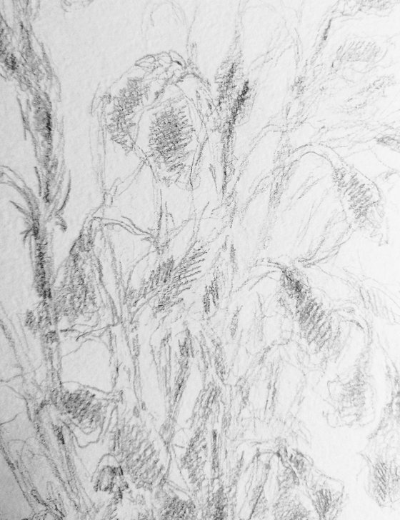 Sweet pea #4 - Still life. Original pencil drawing