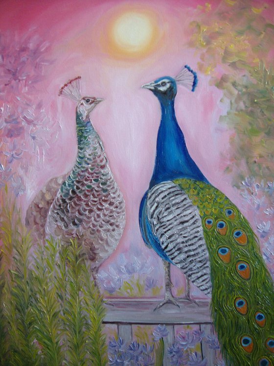 Pair of peacocks