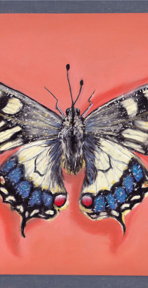 Swallowtail Butterfly by Yulia Schuster