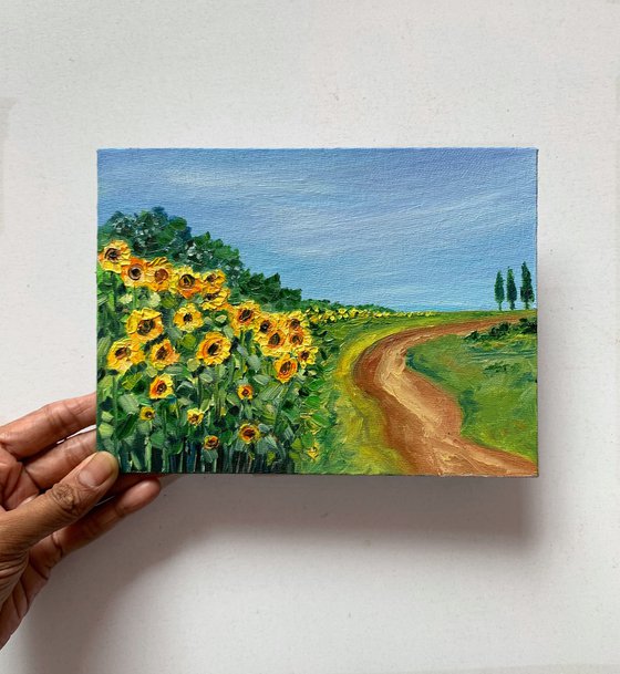 Sunflowers Field