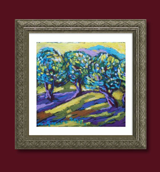 Olive grove No 32