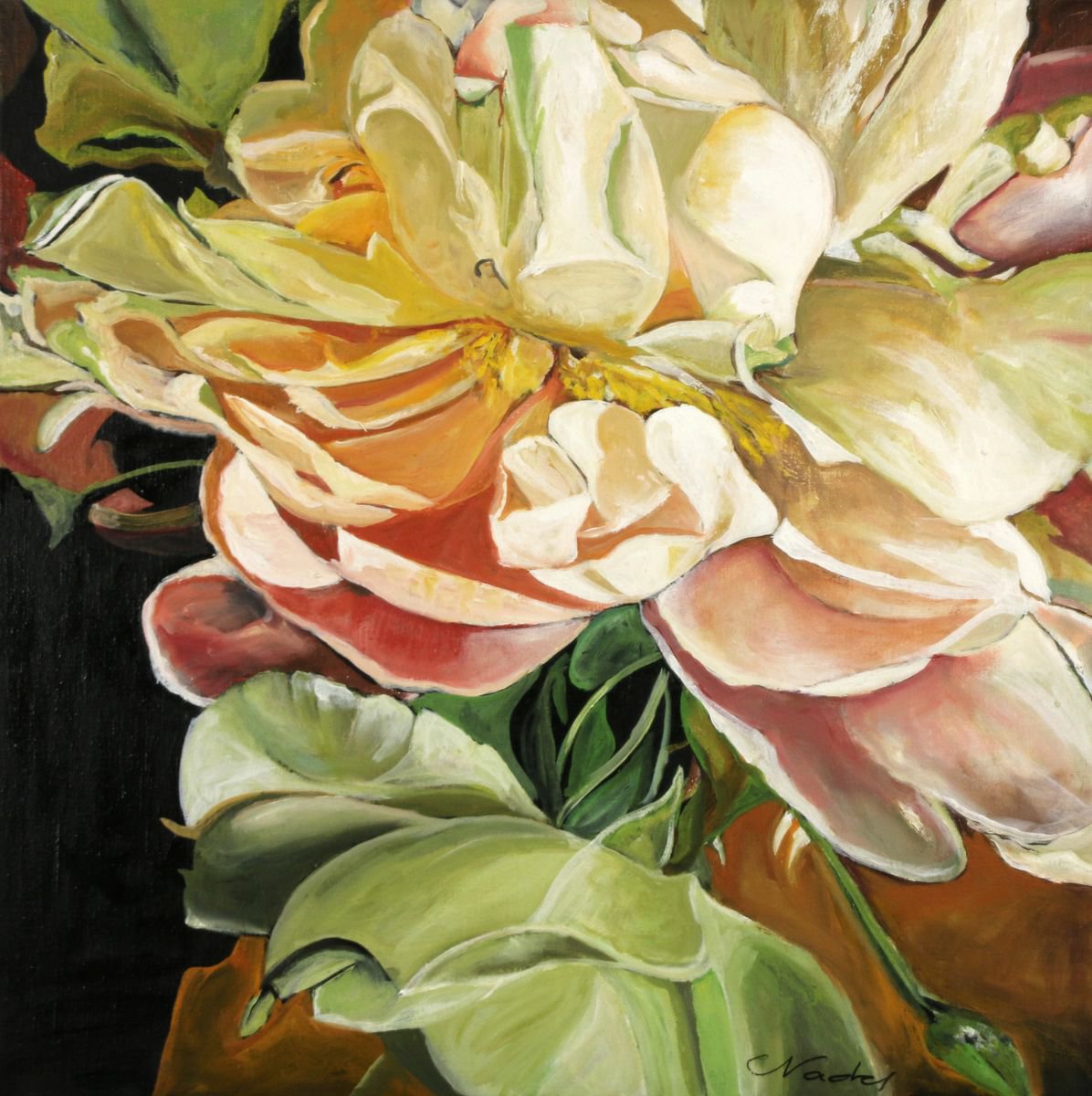 pivoines 2 by Clotilde Nadel