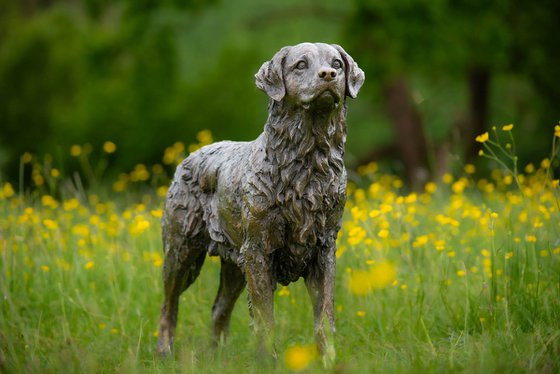 Eden Golden Retriever statue