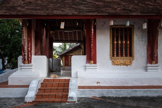 Temple Dogs of Laos No.6