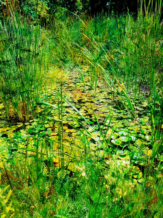 Impressionist pond
