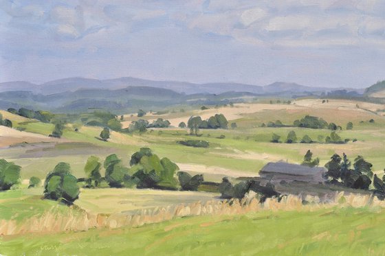 Summer light over the Velay Uplands