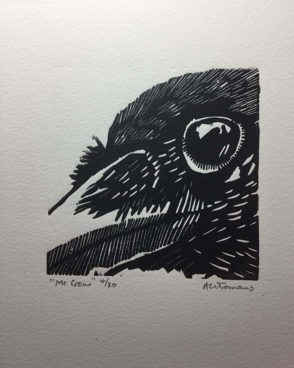 Mr Crow by Andrew Tromans