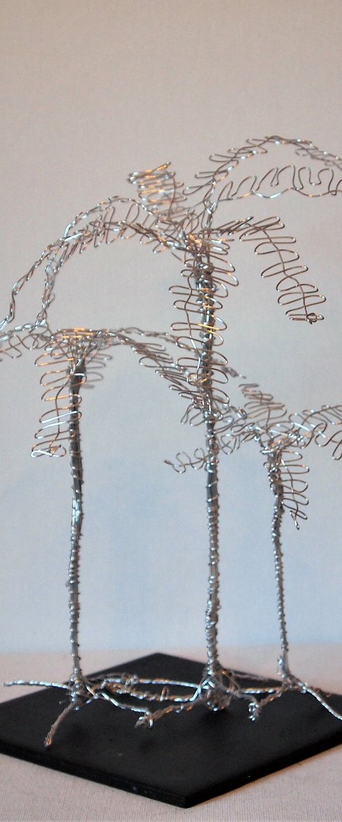Silver tree, 3 Palm's by Steph Morgan
