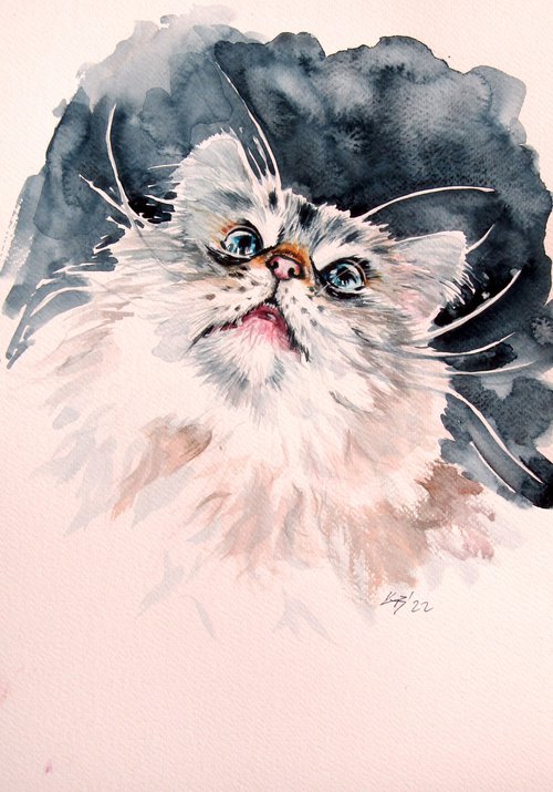 Cute cat portrait by Kovács Anna Brigitta