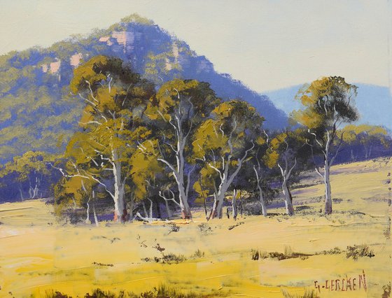 Australian Landscape with Gum trees