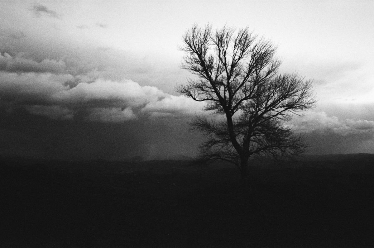 Photorealistic Landscape Photograph By Federico Arcangeli, 16 X 12, Where Is My Mind? #03, Original Artwork