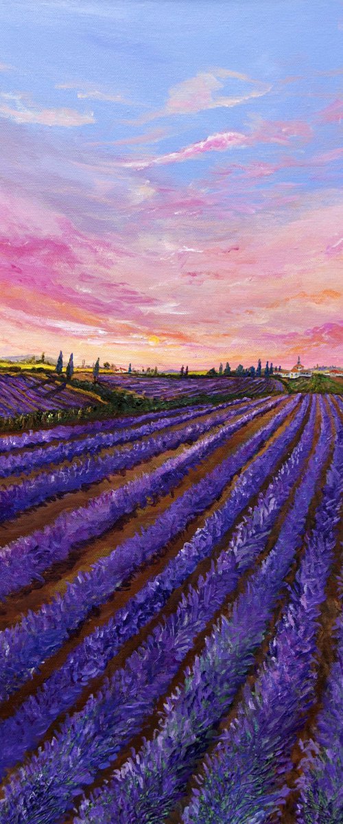 Lavender Fields II by Andrew Cottrell
