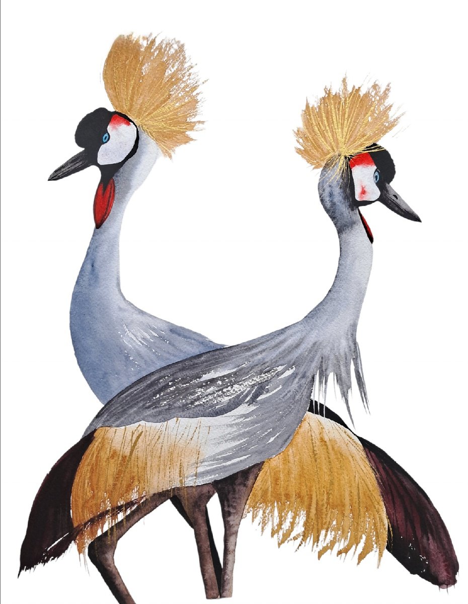 Animal Watercolour By Yuliia Sharapova, 16 X 20", ?rane ?ranes Crowned Crane, Original Artwork