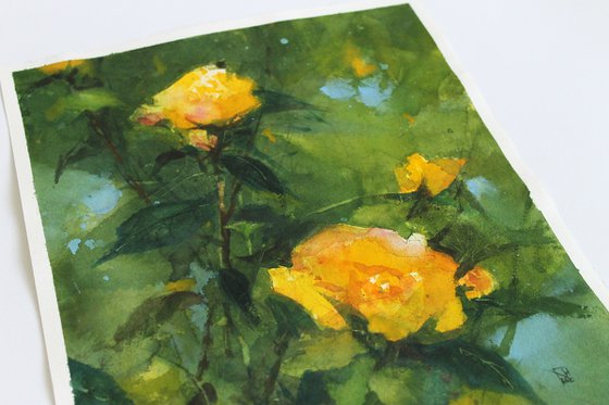 Summer Breath of Yellow Blooms