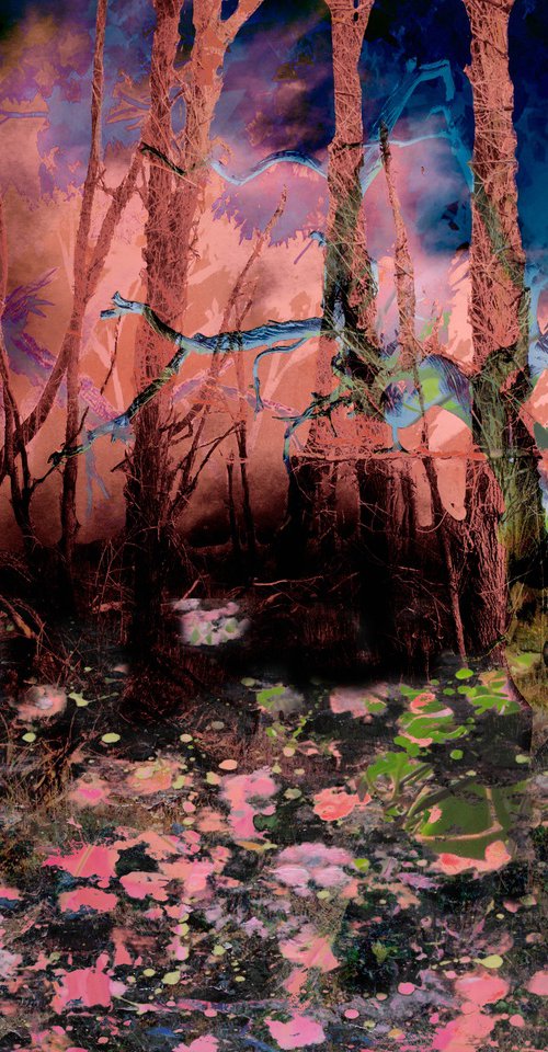 Liberation of the mind 243 by Geert Lemmers FPA