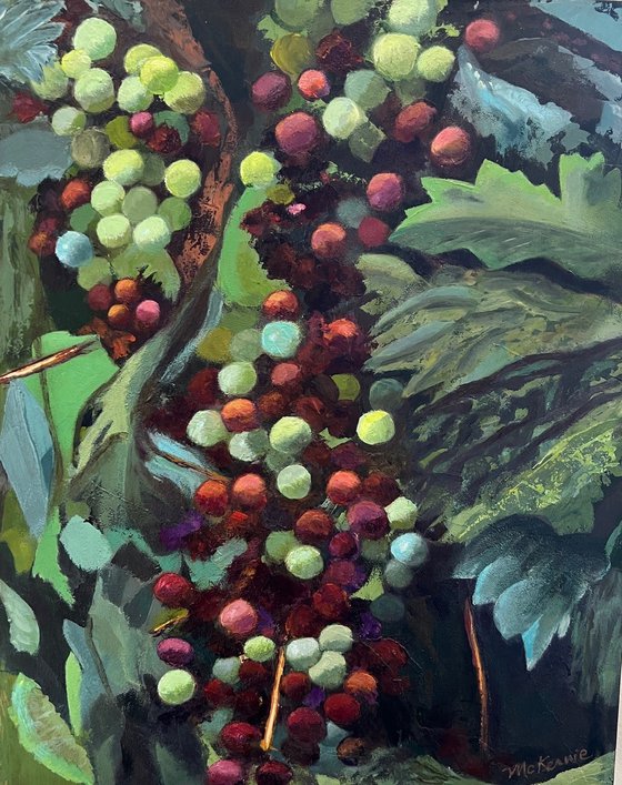 Veraison