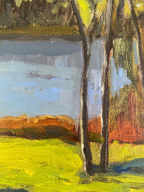 Wildsee Landscape