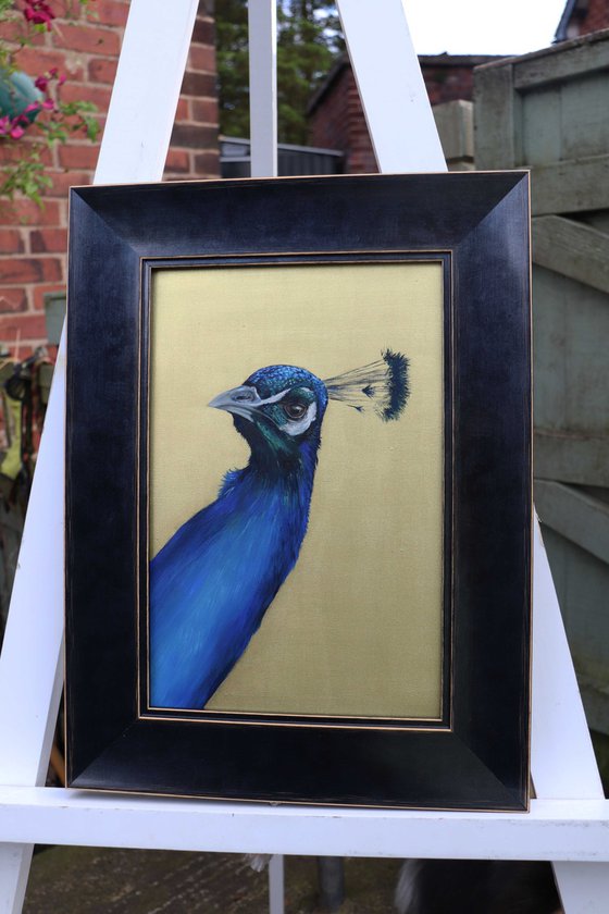 Peacock Portrait in Electric Blue