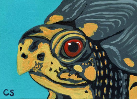 ACEO ATC Original Miniature Painting Box Turtle Pet Wildlife Art-Carla Smale