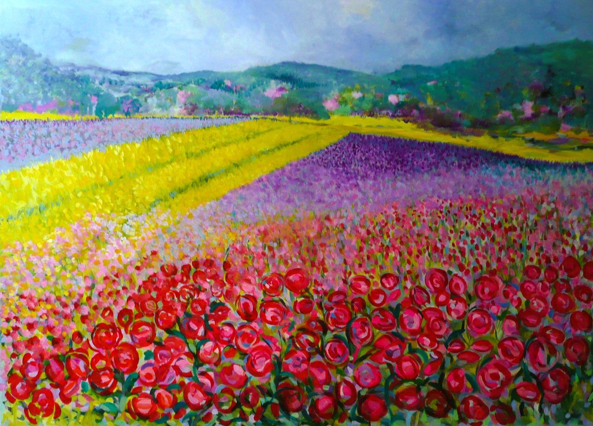 Poppyfields 2024 by Lesley Blackburn