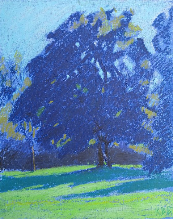 Evening Light