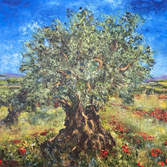 Olive Tree