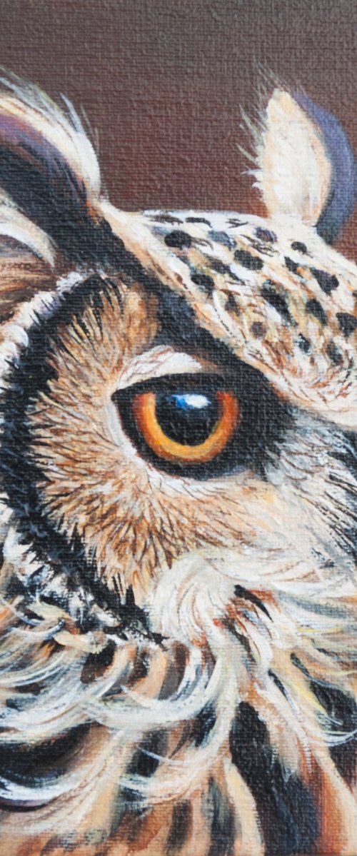 Owl 6 by Norma Beatriz Zaro