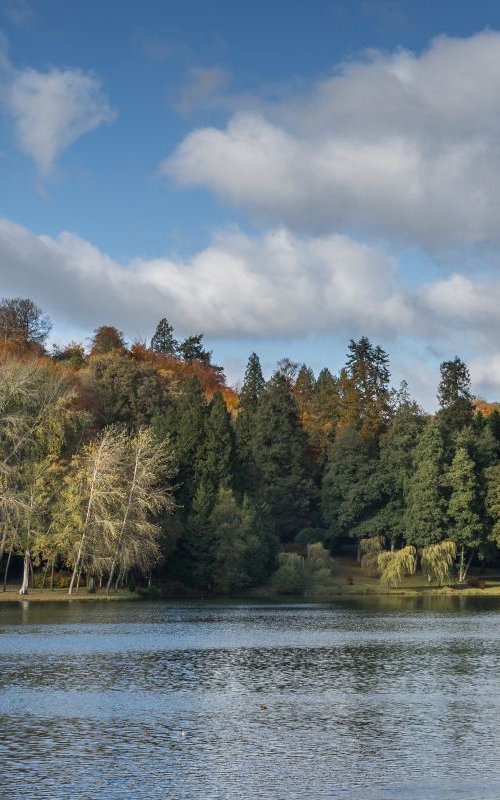 Stourhead II by Kevin Standage