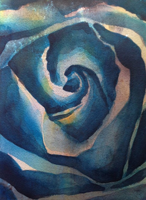 Blue Rose