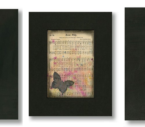 Butterfly Medley Collection 3 by Kathy Morton Stanion