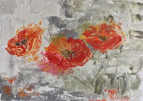 Poppies for Peace #1