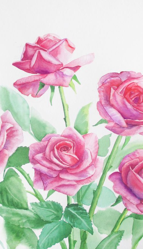 Pink roses by Julia Gogol