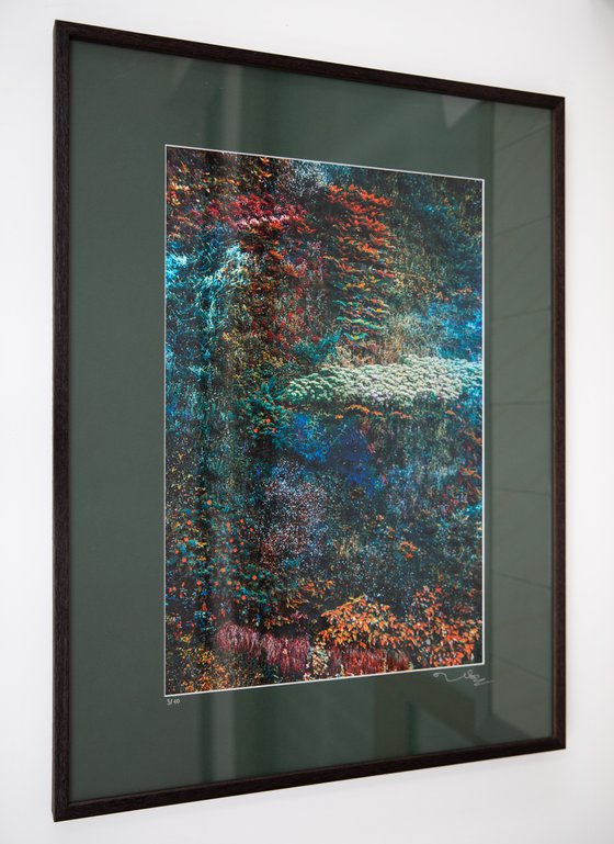 Wall of Nature V (Framed)