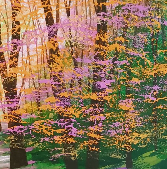 Sylvan Secret, Forest Glade