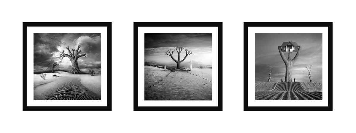 Three Trees - Triptych 30x30cm by Dariusz Klimczak