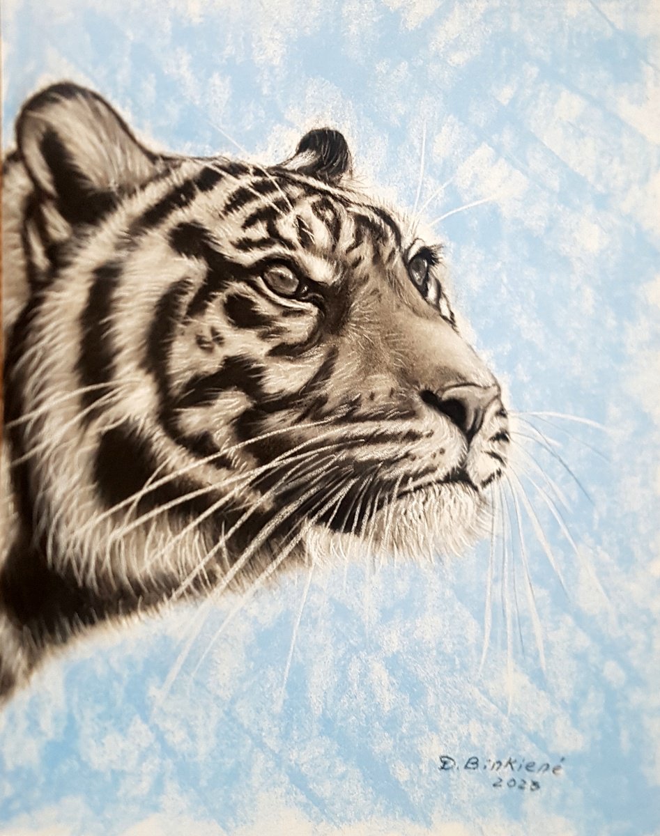 Tiger-wild life by Dalia Binkiene
