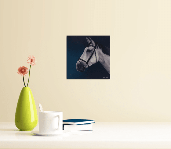 Horse Portrait 72