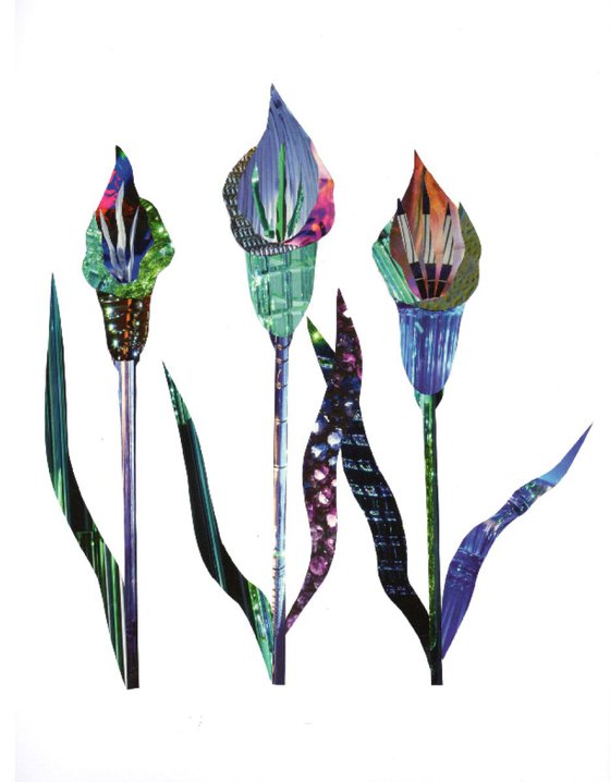 Art Deco Irises collage