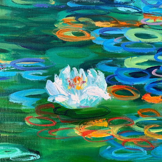 Blue water lilies