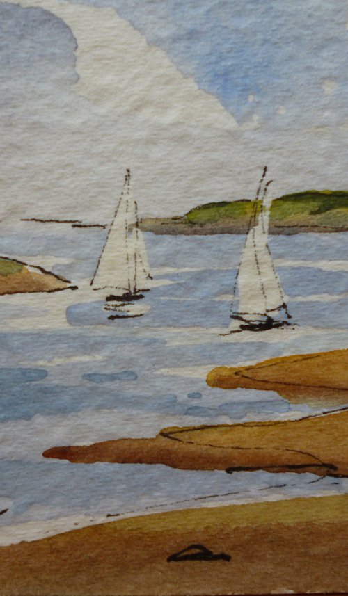 The Estuary, Malahide by Maire Flanagan