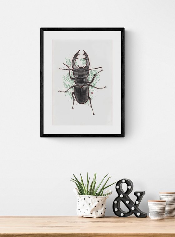 Stag beetle