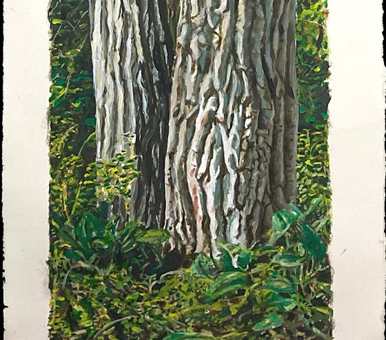 Cottonwood Pair