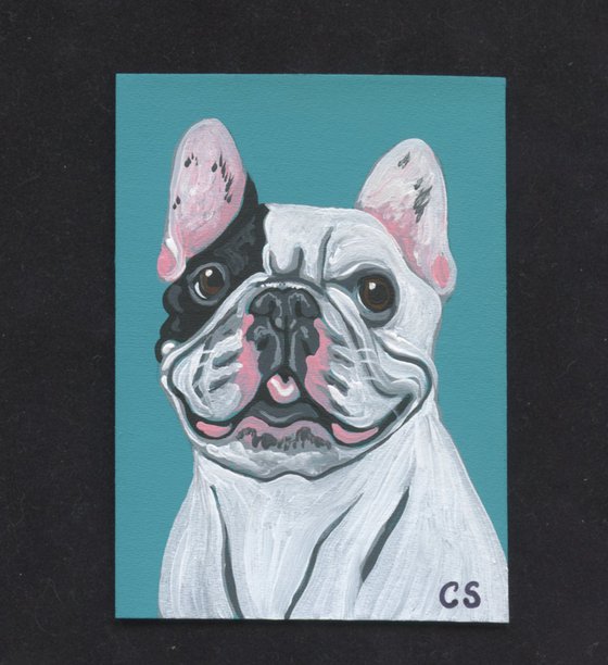 ACEO ATC Original Miniature Painting Pied French Bulldog Pet Dog Art-Carla Smale
