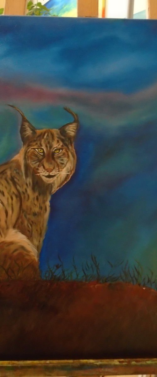 Lynx by Timea  Valsami