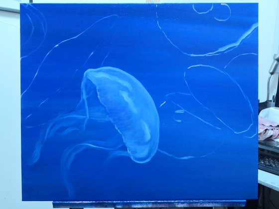 Jellyfish underwater life