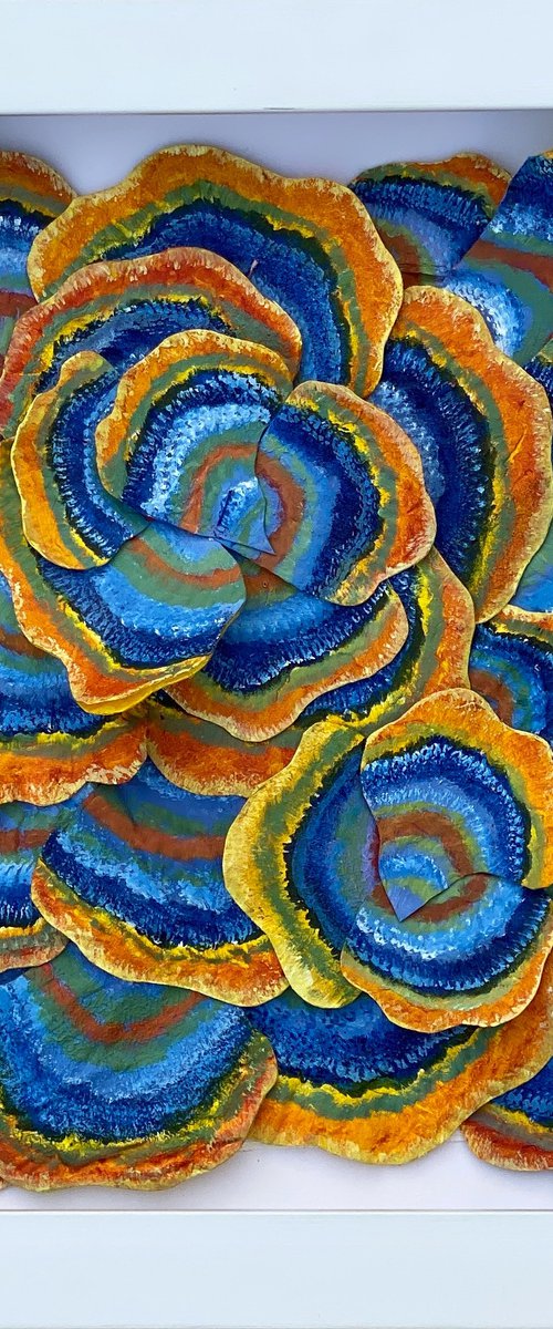 Mushroom Medleys-1 by Swapna Namboodiri