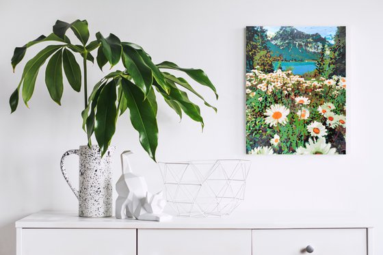 Daisies field in mountains