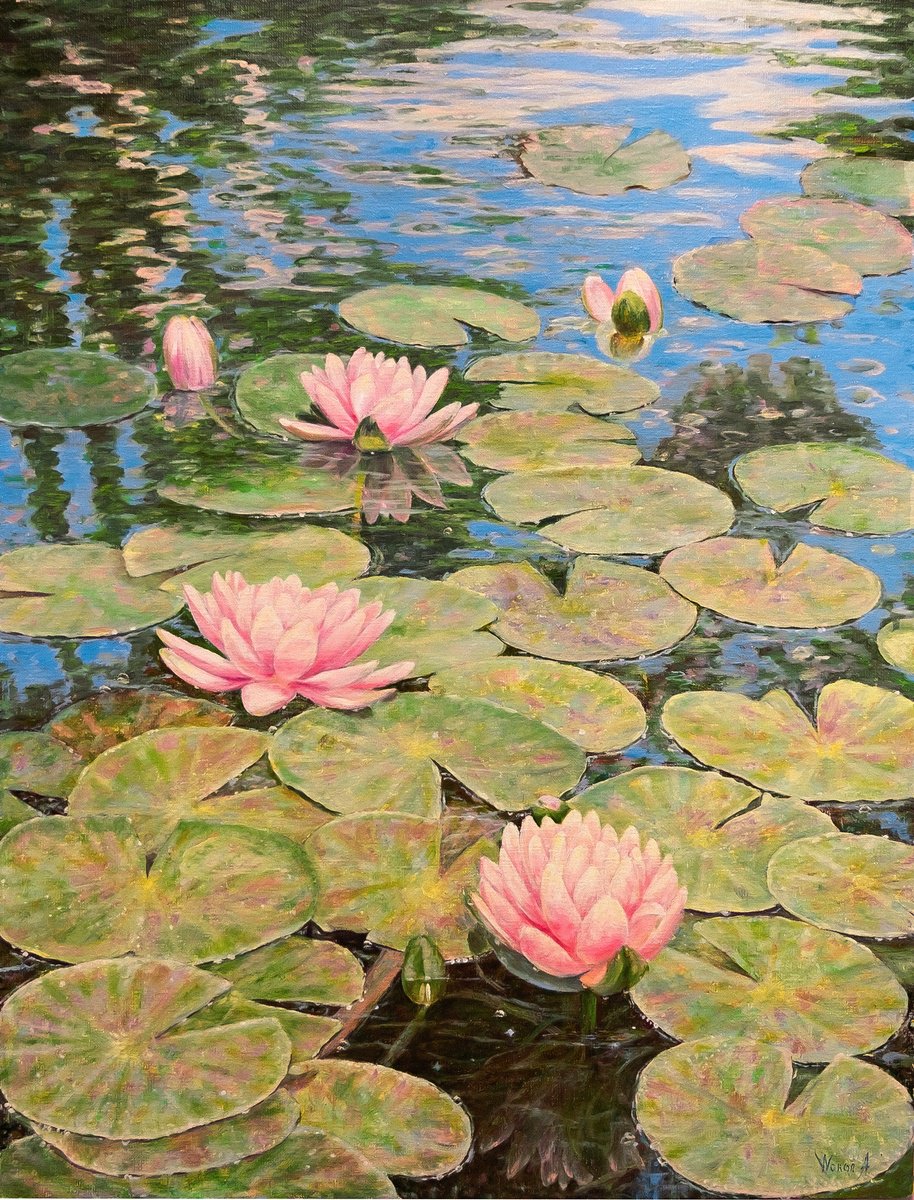Water Lily Pond By Anastasia Woron, 20 X 26, Artwork For Sale On Artfinder